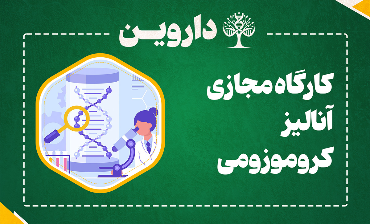 آنالیز کروموزومی