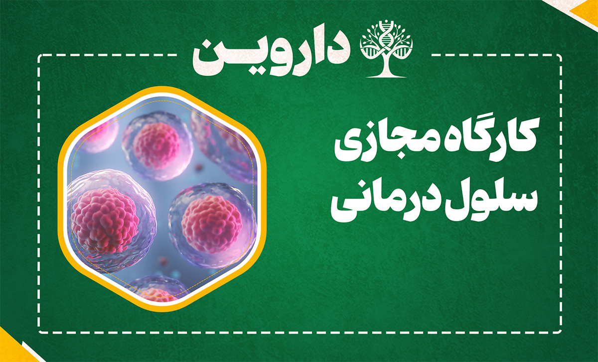 سلول درمانی