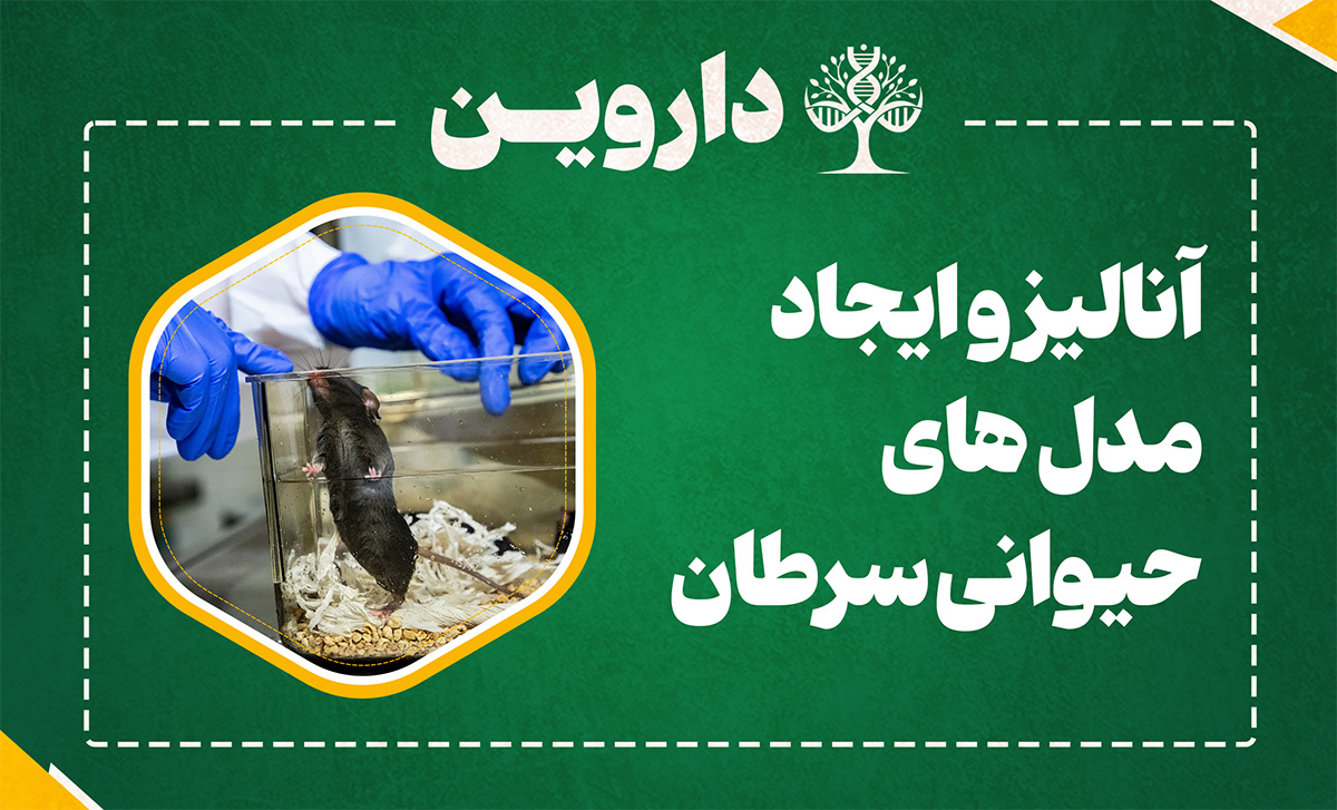 آنالیز و ایجاد مدل های حیوانی سرطان