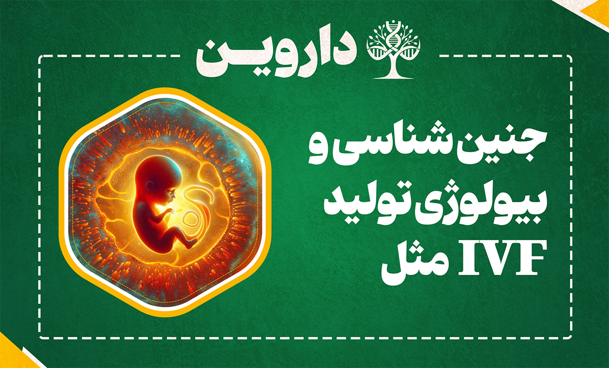 دوره کارآموزی بین المللی جنین شناسی و بیولوژی تولید مثل IVF